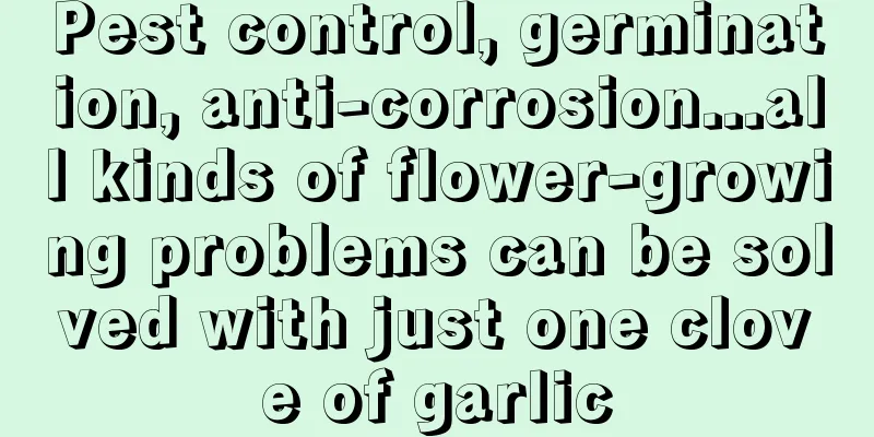 Pest control, germination, anti-corrosion...all kinds of flower-growing problems can be solved with just one clove of garlic