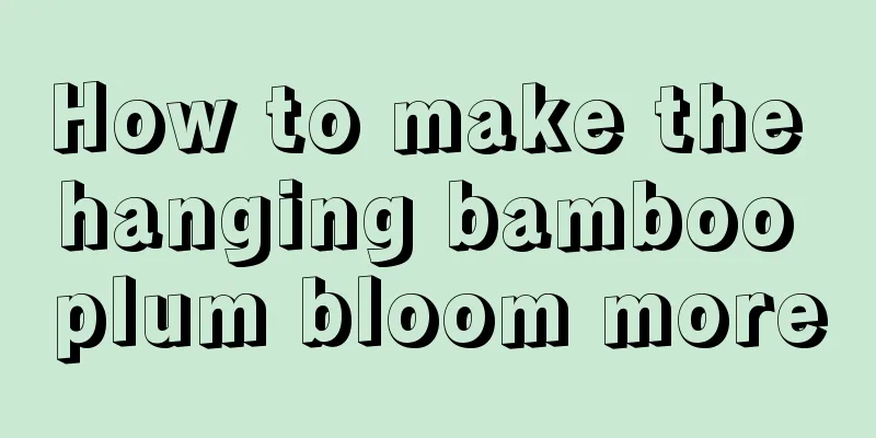 How to make the hanging bamboo plum bloom more