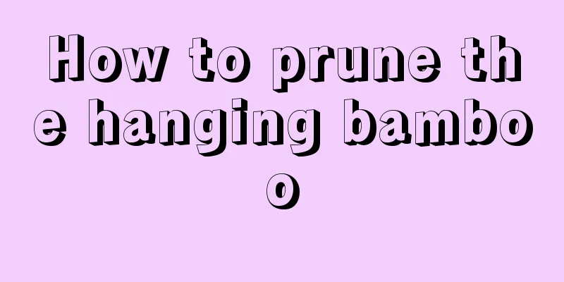 How to prune the hanging bamboo