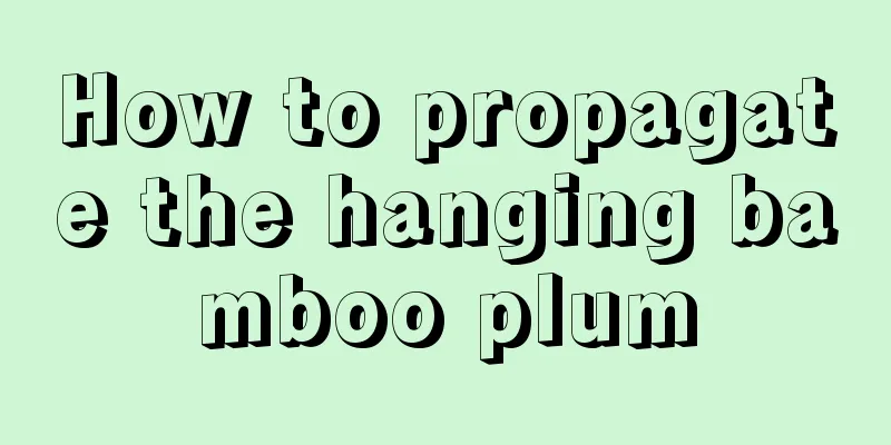 How to propagate the hanging bamboo plum