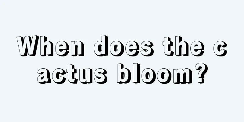 When does the cactus bloom?