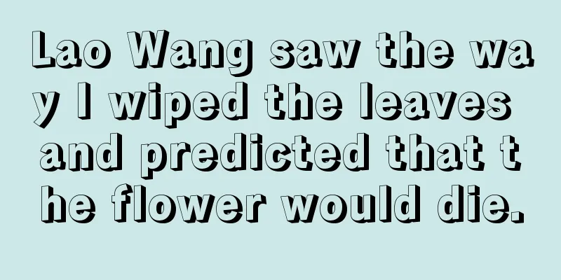 Lao Wang saw the way I wiped the leaves and predicted that the flower would die.