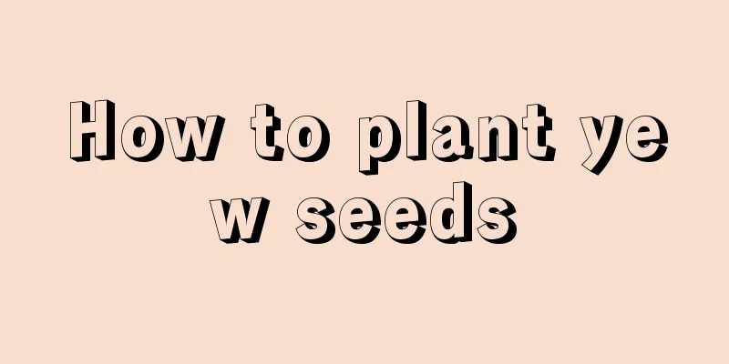 How to plant yew seeds