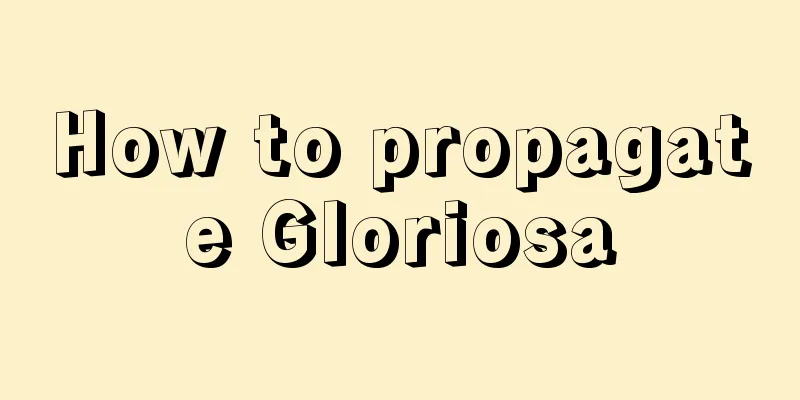 How to propagate Gloriosa