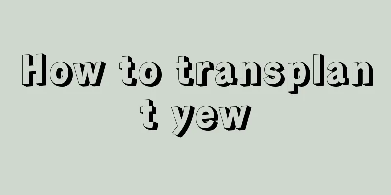 How to transplant yew