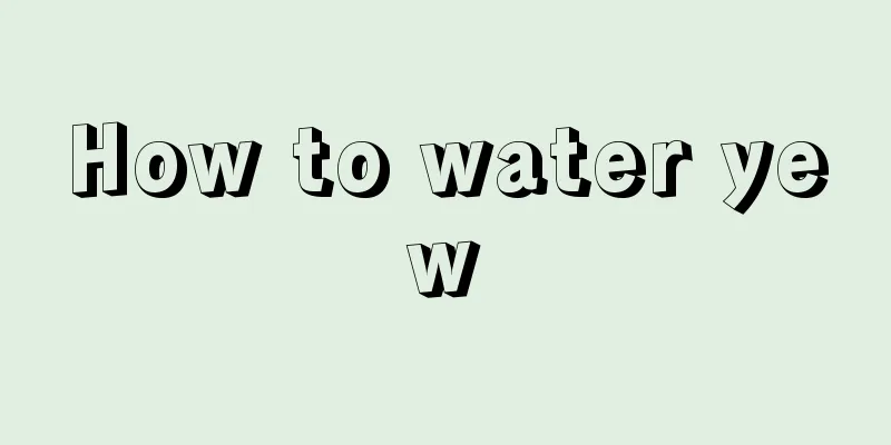 How to water yew