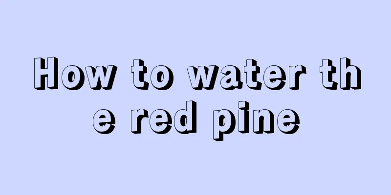 How to water the red pine