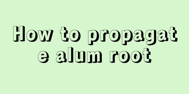 How to propagate alum root