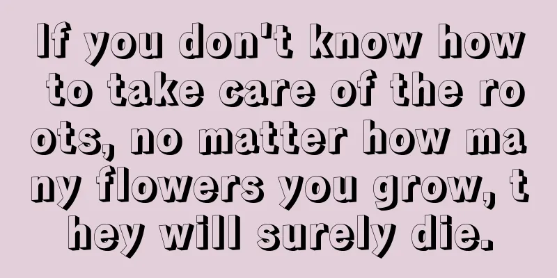 If you don't know how to take care of the roots, no matter how many flowers you grow, they will surely die.