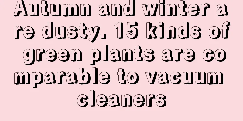 Autumn and winter are dusty. 15 kinds of green plants are comparable to vacuum cleaners