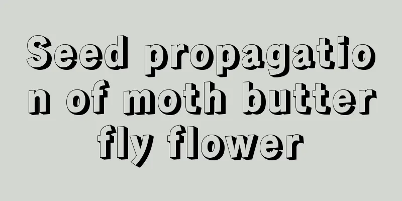 Seed propagation of moth butterfly flower