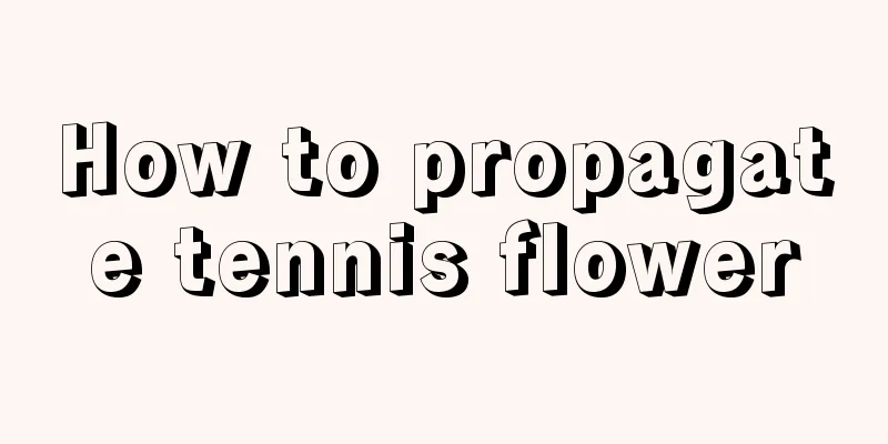 How to propagate tennis flower