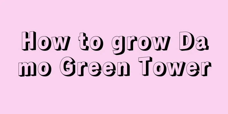 How to grow Damo Green Tower