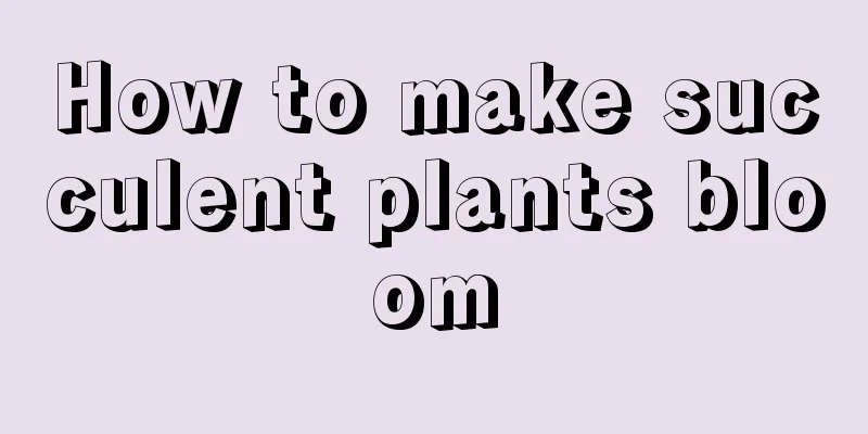 How to make succulent plants bloom