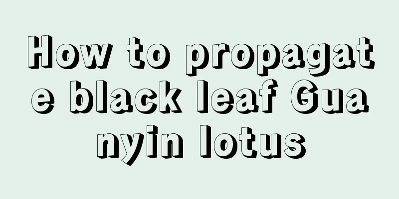 How to propagate black leaf Guanyin lotus