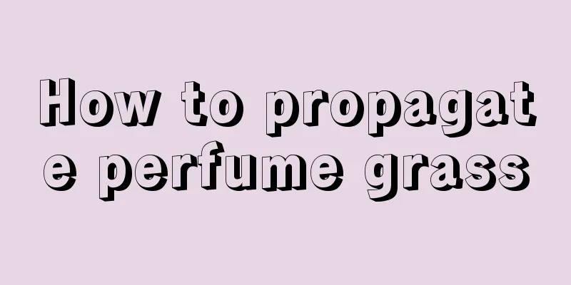 How to propagate perfume grass