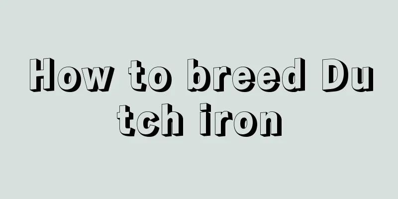 How to breed Dutch iron