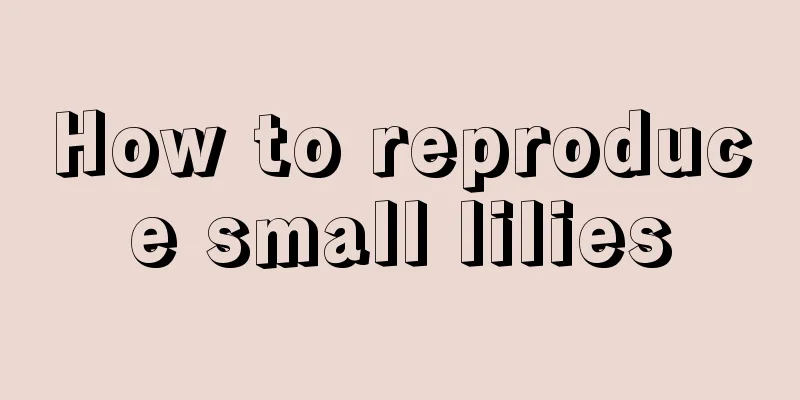 How to reproduce small lilies