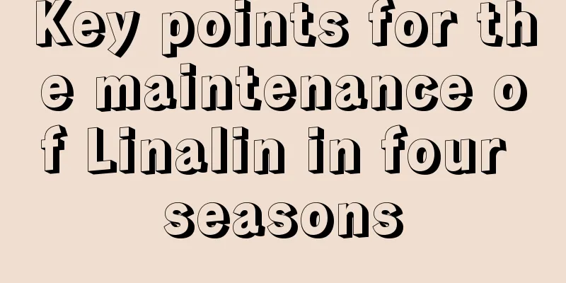 Key points for the maintenance of Linalin in four seasons