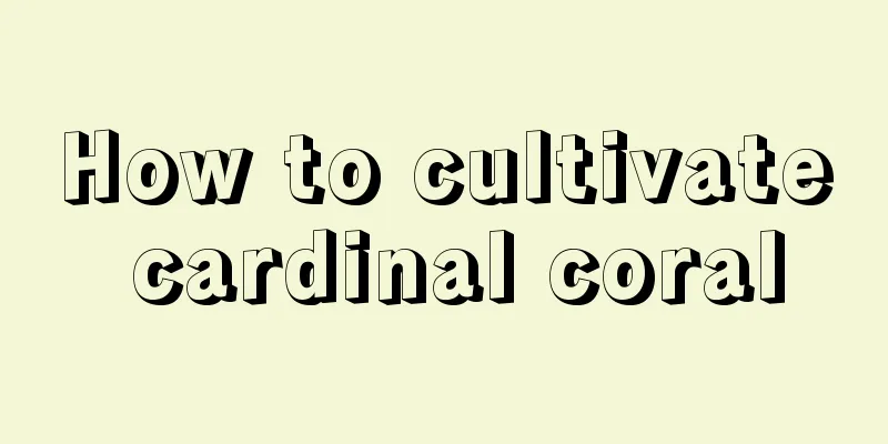 How to cultivate cardinal coral