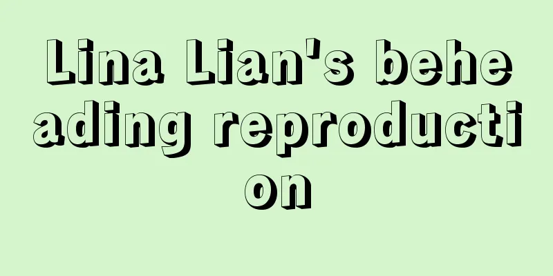 Lina Lian's beheading reproduction