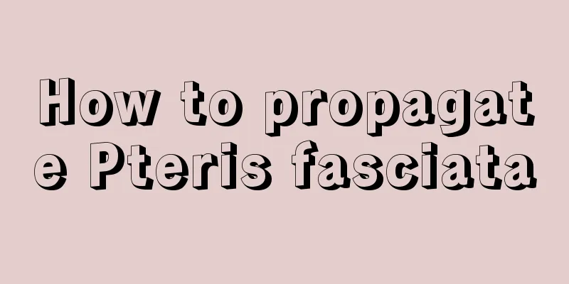 How to propagate Pteris fasciata