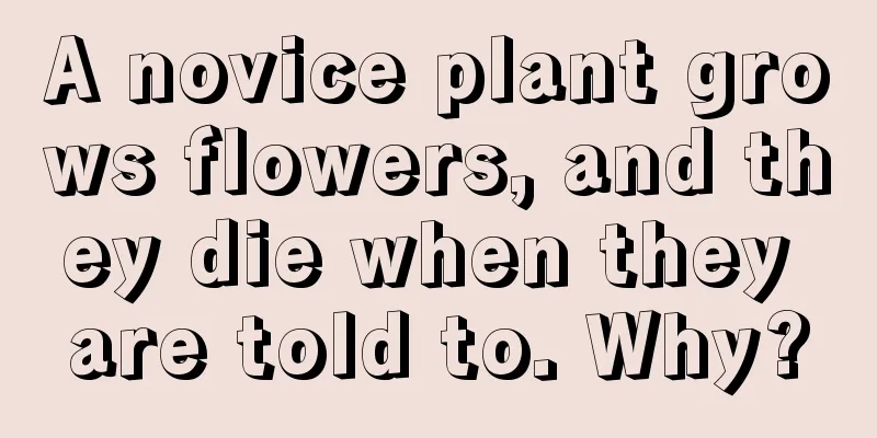 A novice plant grows flowers, and they die when they are told to. Why?