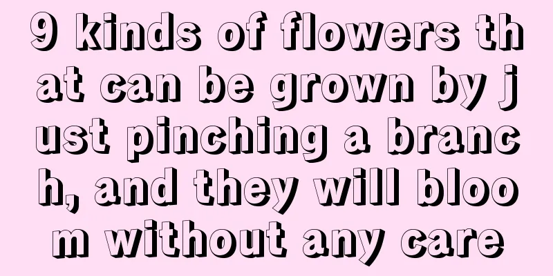 9 kinds of flowers that can be grown by just pinching a branch, and they will bloom without any care