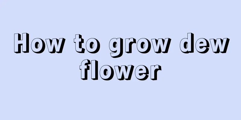 How to grow dewflower