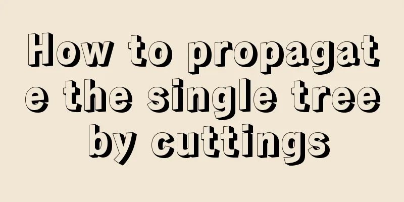 How to propagate the single tree by cuttings