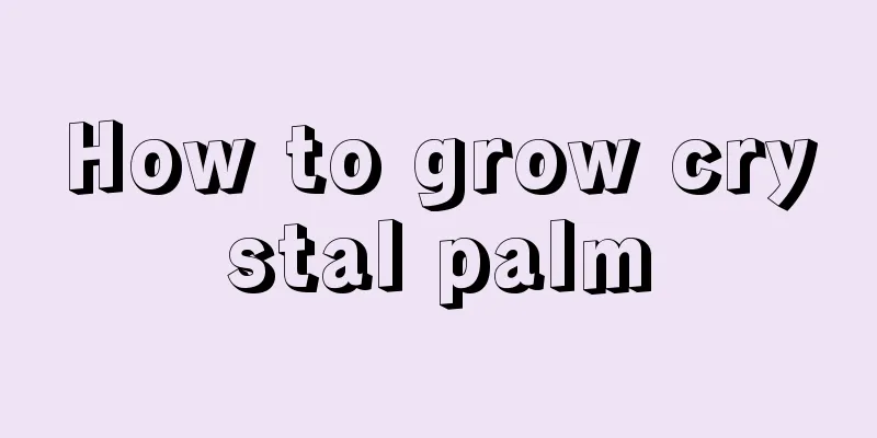 How to grow crystal palm