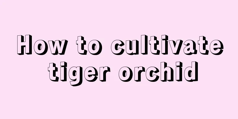 How to cultivate tiger orchid