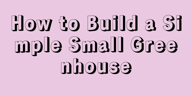 How to Build a Simple Small Greenhouse