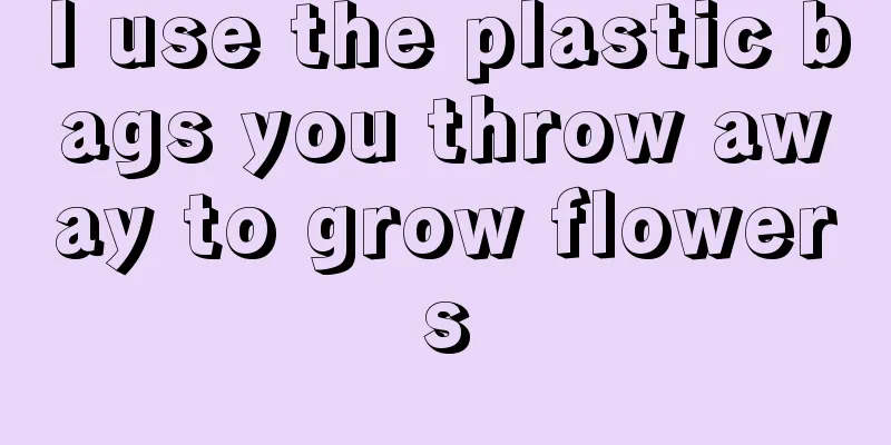 I use the plastic bags you throw away to grow flowers