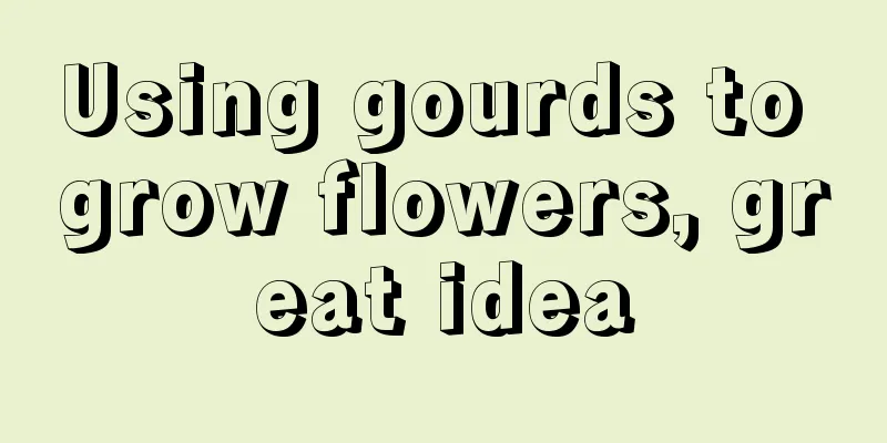 Using gourds to grow flowers, great idea