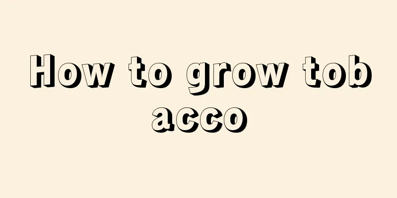 How to grow tobacco