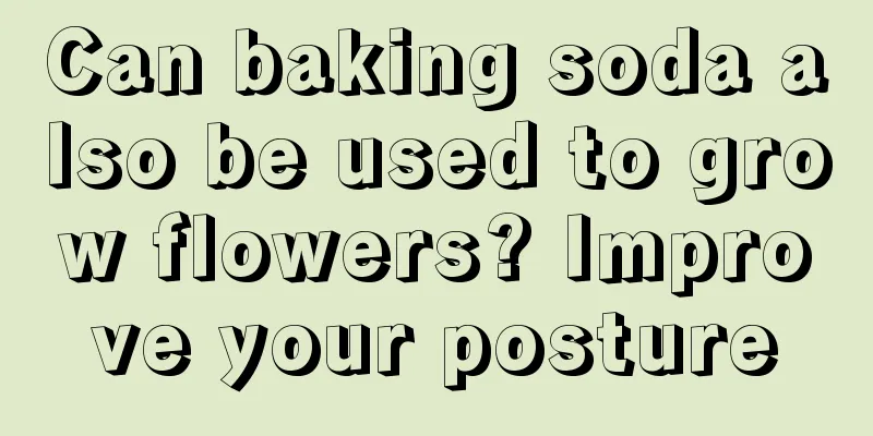 Can baking soda also be used to grow flowers? Improve your posture