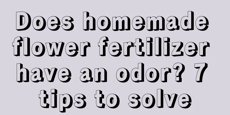 Does homemade flower fertilizer have an odor? 7 tips to solve