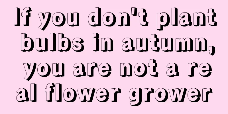 If you don't plant bulbs in autumn, you are not a real flower grower