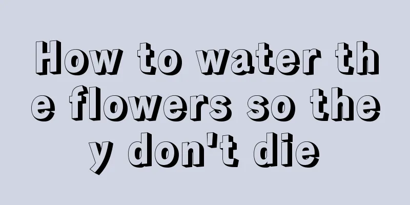 How to water the flowers so they don't die