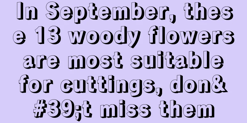 In September, these 13 woody flowers are most suitable for cuttings, don't miss them