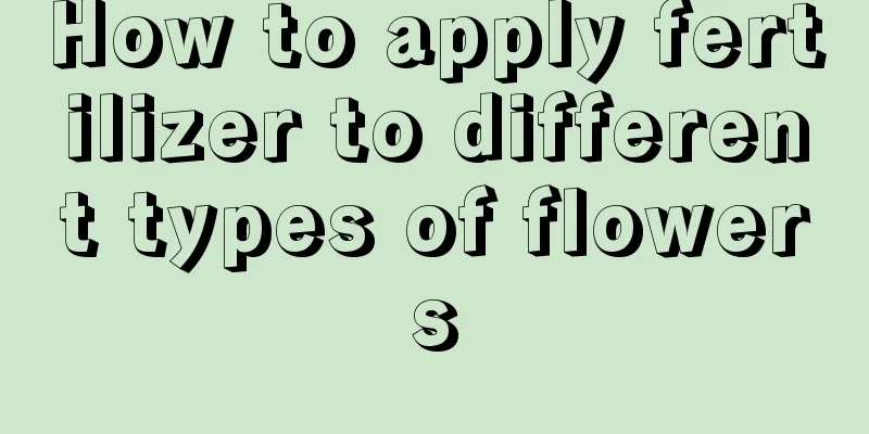 How to apply fertilizer to different types of flowers