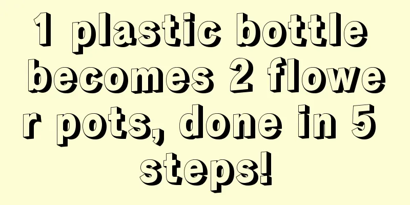 1 plastic bottle becomes 2 flower pots, done in 5 steps!