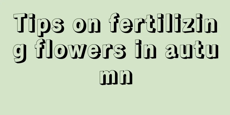 Tips on fertilizing flowers in autumn