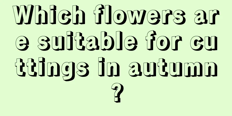 Which flowers are suitable for cuttings in autumn?