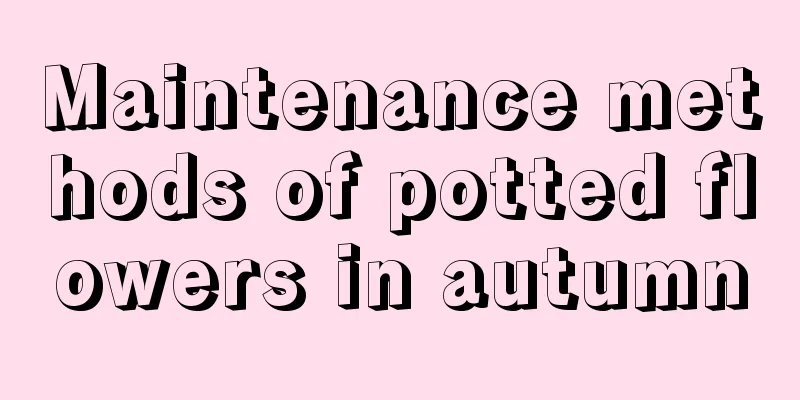 Maintenance methods of potted flowers in autumn