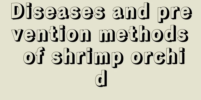 Diseases and prevention methods of shrimp orchid