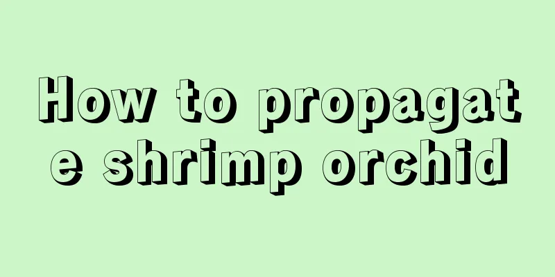 How to propagate shrimp orchid