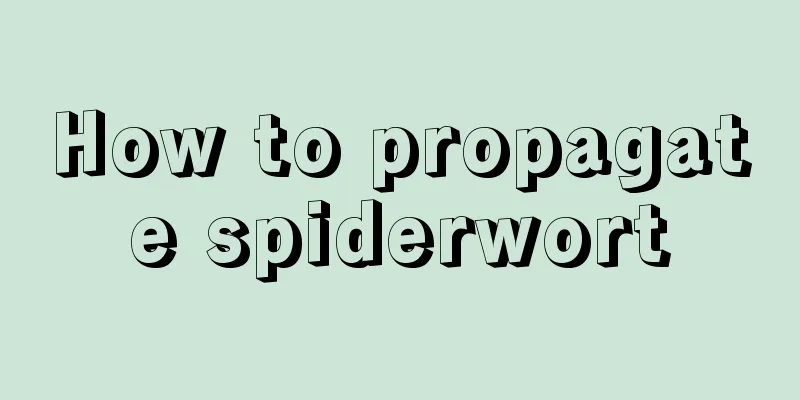 How to propagate spiderwort