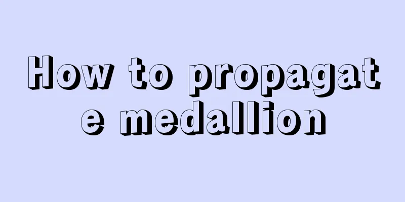 How to propagate medallion